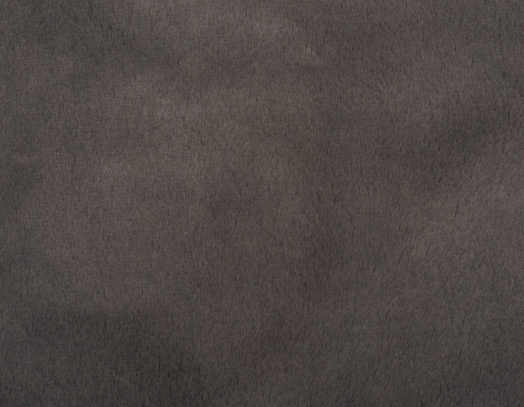 Mink Grey Blanket