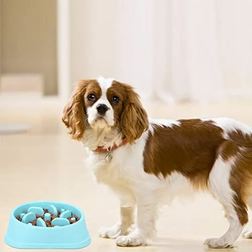 Noyal Dog Slow Feeder Bowl Non Slip Puzzle Bowl Anti-Gulping Pet Slower Food Feeding Dishes - Interactive Bloat Stop Dog Bowls - Durable Preventing Choking Healthy Design Bowl for Dogs