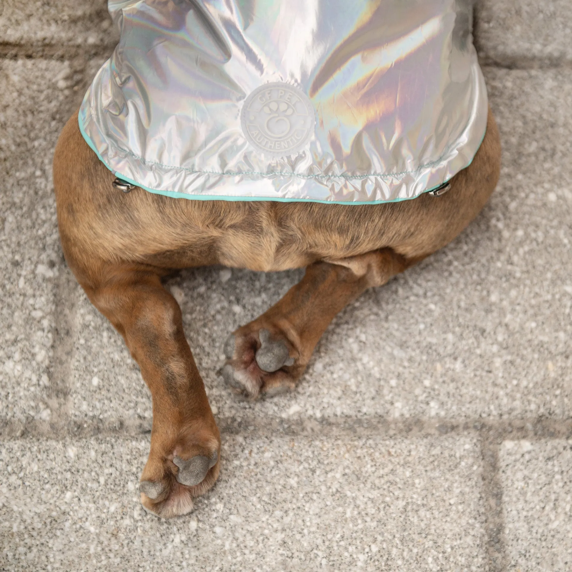 Reversible Raincoat (Neon Aqua with Iridescent)