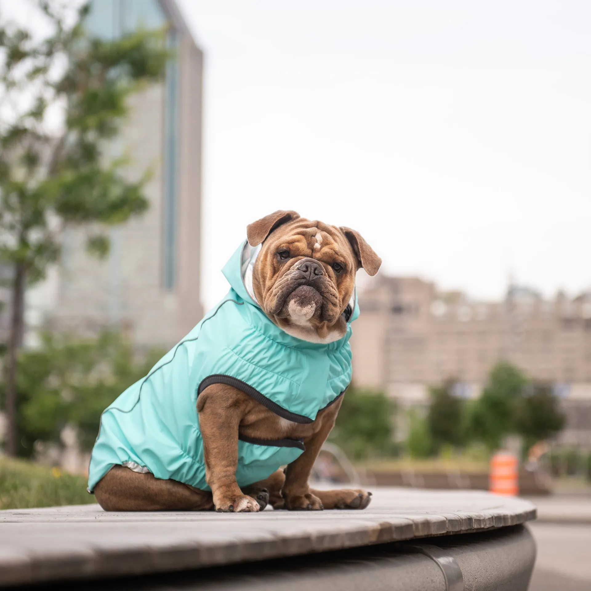 Reversible Raincoat (Neon Aqua with Iridescent)