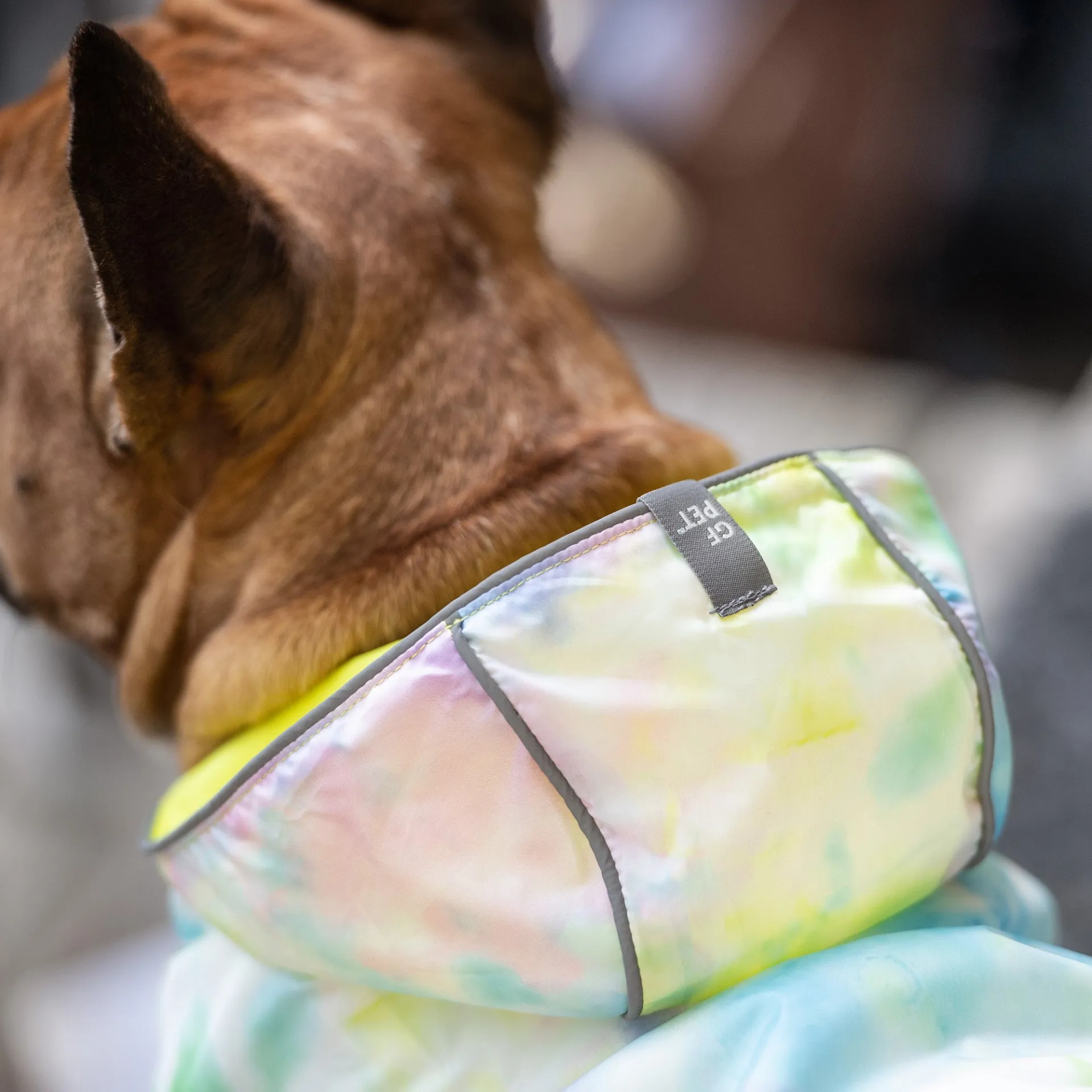 Reversible Raincoat (Neon Yellow & Tie Dye)