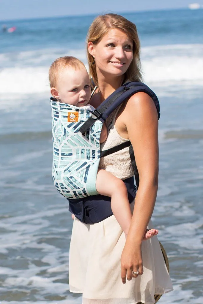 Tula Toddler Carrier Trillion