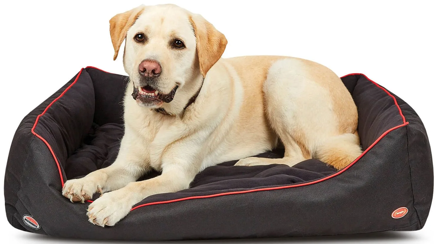 WeatherBeeta TherapyTec Dog Bed
